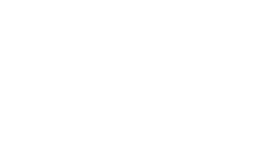 BJD Studios